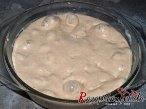 Vorteig / Pâte Fermentée nach 48 Stunden im Kühlschrank